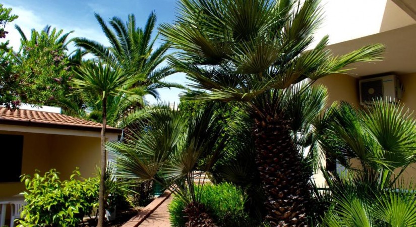 Villaggio Turistico Defensola
