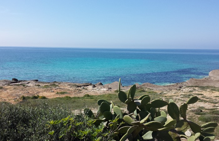 Le Case Al Mare